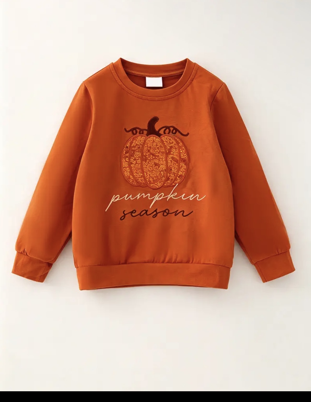 Pumpkin Sweatshirt