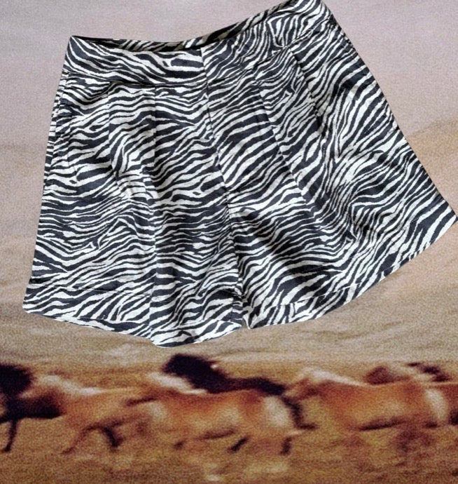 STRIPE A POZE shorts